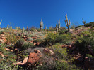 photo thumbnail #3
