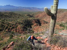 photo thumbnail #4