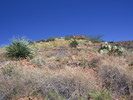 photo thumbnail #7