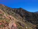 photo thumbnail #8