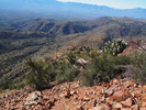 photo thumbnail #10