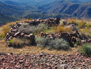 photo thumbnail #15