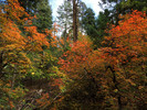 photo thumbnail #14