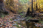 photo thumbnail #5