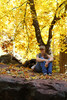 photo thumbnail #15