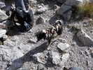 photo thumbnail #2
