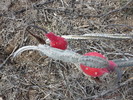 photo thumbnail #3