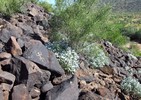 photo thumbnail #6