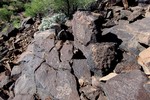 photo thumbnail #12