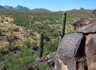 photo thumbnail #13