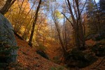 photo thumbnail #11