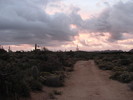 photo thumbnail #2