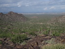 photo thumbnail #1