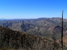 photo thumbnail #8