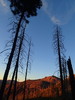 photo thumbnail #11