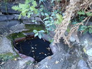 2014-04-28 :2: Mazatzal Divide - AZT #23 :: sirena