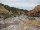 photo thumbnail #5