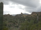 photo thumbnail #8