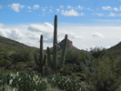 photo thumbnail #10