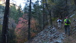 photo thumbnail #5