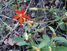 photo thumbnail #8