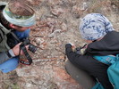 photo thumbnail #8
