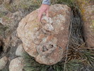 photo thumbnail #14