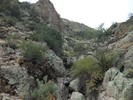 photo thumbnail #6