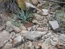 photo thumbnail #8
