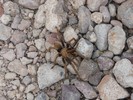 photo thumbnail #12