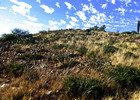 photo thumbnail #11