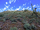 photo thumbnail #14