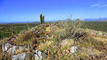 2014-10-31 :1: Fraesfield Mountain Wandering :: FLYING_FLIVER