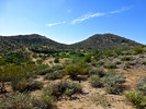2014-10-31 :1: Fraesfield Mountain Wandering :: FLYING_FLIVER