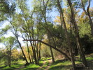 photo thumbnail #2