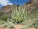 photo thumbnail #8