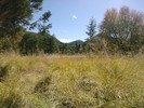 recent photo