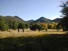 photo thumbnail #8