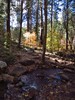 photo thumbnail #4