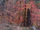photo thumbnail #14