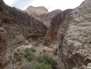 photo thumbnail #12