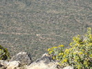 photo thumbnail #13