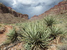 photo thumbnail #12