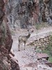 photo thumbnail #15