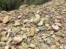 2014-09-19 :2: North Kaibab Trail :: Crzy4AZ