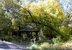 photo thumbnail #7