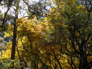 photo thumbnail #13