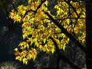 photo thumbnail #14