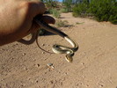 photo thumbnail #7
