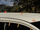 photo thumbnail #2